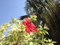 0295 botanischer Garten En Gedi &ndash; &copy; Patrick Fritzsche (Eberhardt TRAVEL)