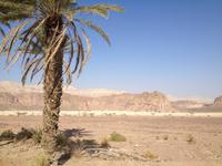 0312 Negev-Wüste &ndash; &copy; Patrick Fritzsche (Eberhardt TRAVEL)