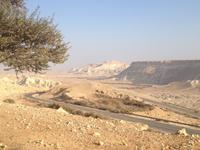 0484 Sede Boker - Wadi Zin &ndash; &copy; Patrick Fritzsche (Eberhardt TRAVEL)
