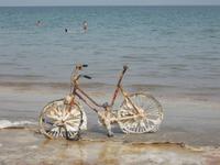 Am Toten Meer
