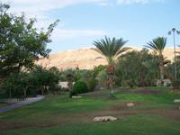 Kibbuz Kalia &ndash; &copy; Dirk Schlosser (Eberhardt TRAVEL)