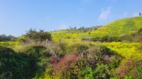 Fahrt zum Berg der Seligpreisungen &ndash; &copy; Marlies Thrum (Eberhardt TRAVEL)