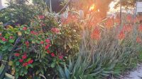 20220328 065705 guten Morgen im Kibbutz &ndash; &copy; Marlies Thrum (Eberhardt TRAVEL)