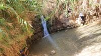 20220328 135959Wandern im Ein Gedi Nationalpark &ndash; &copy; Marlies Thrum (Eberhardt TRAVEL)