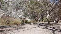 20220328 143234Wandern im Ein Gedi Nationalpark &ndash; &copy; Marlies Thrum (Eberhardt TRAVEL)