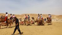 20220329_124916 Ausritt.jpg &ndash; &copy; Marlies Thrum (Eberhardt TRAVEL)