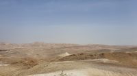 20220329_142455 die Negev-Wüste.jpg &ndash; &copy; Marlies Thrum (Eberhardt TRAVEL)