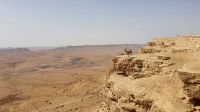 20220330 103543 Ramon Krater &ndash; &copy; Marlies Thrum (Eberhardt TRAVEL)