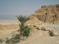 nach Masada &ndash; &copy; Jürgen Schmeißer (Eberhardt TRAVEL)