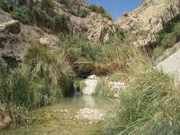 Nationalpark Ein Gedi &ndash; &copy; Jürgen Schmeißer (Eberhardt TRAVEL)