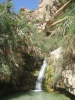 Nationalpark Ein Gedi &ndash; &copy; Jürgen Schmeißer (Eberhardt TRAVEL)