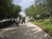 Yad Vashem, Straße der Gerechten &ndash; &copy; Jürgen Schmeißer (Eberhardt TRAVEL)