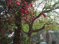 Kibbutz Qualia &ndash; &copy; Peter Großer (Eberhardt TRAVEL)