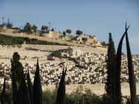 Friedhof am Ölberg &ndash; &copy; Peter Großer (Eberhardt TRAVEL)