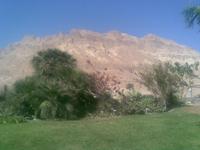 im Kibbuz 
