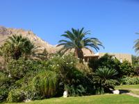 5.Tag, 28.10.2013: Botanischer Garten im Kibbuz 