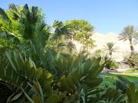5.Tag, 28.10.2013: Botanischer Garten im Kibbuz 