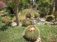 Ein Gedi &ndash; &copy; Katrin Deutschbein (Eberhardt TRAVEL)