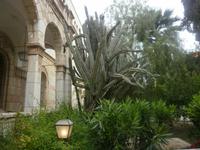 Österreichisches Hospiz Jerusalem &ndash; &copy; Katrin Deutschbein (Eberhardt TRAVEL)