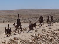 Avdat &ndash; &copy; Pauline Gehrmann-Golomer (Eberhardt TRAVEL)