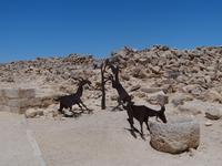 Avdat &ndash; &copy; Pauline Gehrmann-Golomer (Eberhardt TRAVEL)