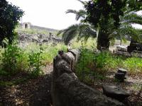 Kapernaum &ndash; &copy; Pauline Gehrmann-Golomer (Eberhardt TRAVEL)