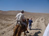 Kamel-Ritt &ndash; &copy; Pauline Gehrmann-Golomer (Eberhardt TRAVEL)
