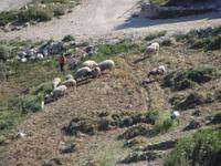 &copy; Pauline Gehrmann-Golomer (Eberhardt TRAVEL)