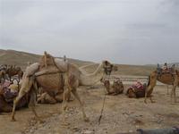 &copy; Michael Krause (Eberhardt TRAVEL)