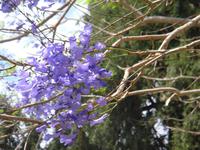 Kibbutz Ein Gedi + Botanischer Garten &ndash; &copy; Astrid Janke (Eberhardt TRAVEL)
