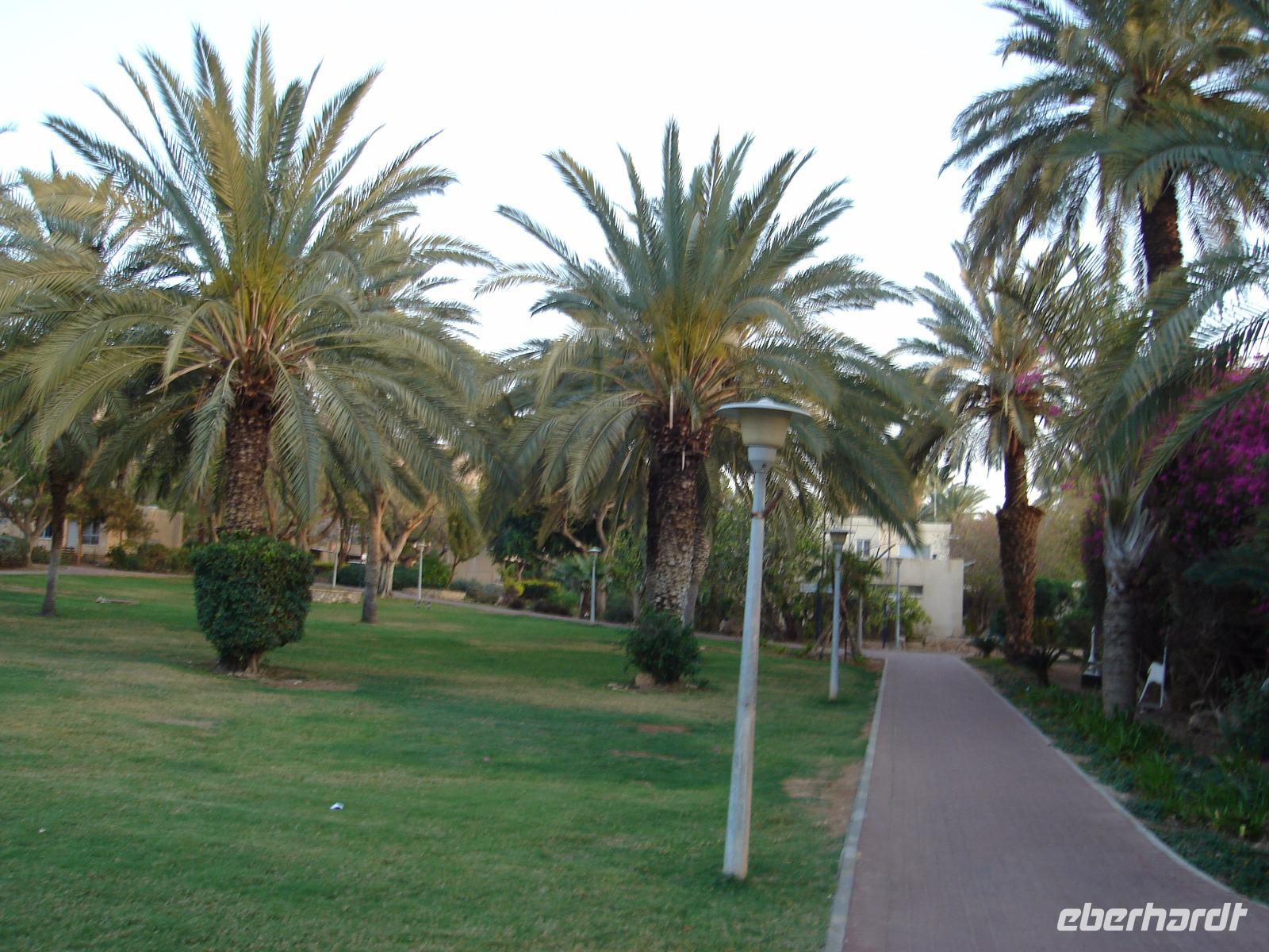 Kibbuz Kalia &ndash; &copy; Inge Bily (Eberhardt TRAVEL)