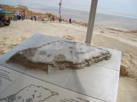 Massada &ndash; &copy; Inge Bily (Eberhardt TRAVEL)
