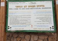0618_Ein Gedi; botanischer Garten &ndash; &copy; Jörg Nesse (Eberhardt TRAVEL)