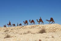 0713_Avdat &ndash; &copy; Jörg Nesse (Eberhardt TRAVEL)