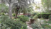 Im Gartengrab 20180328_101057 &ndash; &copy; Marlies Thrum (Eberhardt TRAVEL)