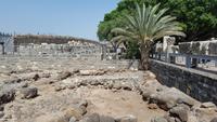 Kapernaum 20180320_114453 &ndash; &copy; Marlies Thrum (Eberhardt TRAVEL)
