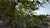 Bet Shean 20180321_151439 &ndash; &copy; Marlies Thrum (Eberhardt TRAVEL)