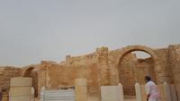 Avdat 20180324_135639 &ndash; &copy; Marlies Thrum (Eberhardt TRAVEL)