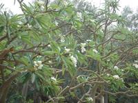 Kibbutz En Geddi &ndash; &copy; Inge Bily (Eberhardt TRAVEL)