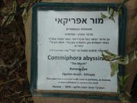 Kibbutz En Geddi &ndash; &copy; Inge Bily (Eberhardt TRAVEL)