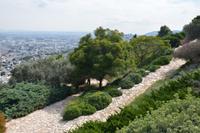 36 Bahai Gärten von Haifa &ndash; &copy; Maria Schneider (Eberhardt TRAVEL)