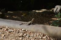 74 Tierischer Besuch &ndash; &copy; Maria Schneider (Eberhardt TRAVEL)