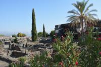 97 Ausgrabung Capernaum &ndash; &copy; Maria Schneider (Eberhardt TRAVEL)