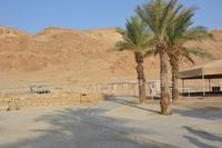 158 Qumran &ndash; &copy; Maria Schneider (Eberhardt TRAVEL)