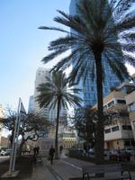 Tel Aviv_6 &ndash; &copy; Thomas Mühlbauer (Eberhardt TRAVEL)