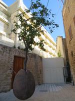 Rundreise Israel - Tel Aviv • Jaffa &ndash; &copy; Franziska Bergmann (Eberhardt TRAVEL)