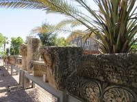 Rundreise Israel - Kapernaum &ndash; &copy; Franziska Bergmann (Eberhardt TRAVEL)