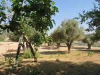 Rundreise Israel - Zippori, das antike Sephoris &ndash; &copy; Franziska Bergmann (Eberhardt TRAVEL)
