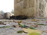 Rundreise Israel - Nazareth &ndash; &copy; Franziska Bergmann (Eberhardt TRAVEL)