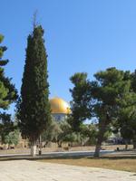 Rundreise Israel - Jerusalem, Tempelberg &ndash; &copy; Franziska Bergmann (Eberhardt TRAVEL)